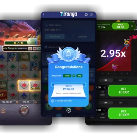 Tiranga Game Center: A Double Experience of Entertainment and Profit